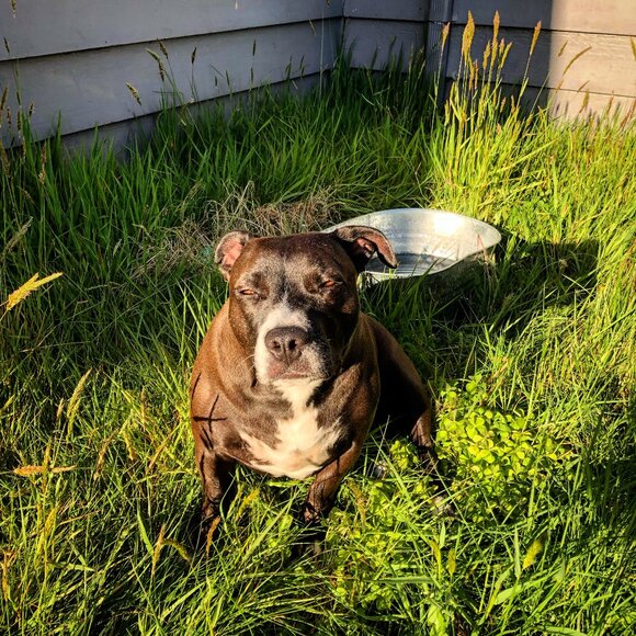 Hey, I'm Ash! - Picture 1 of 1